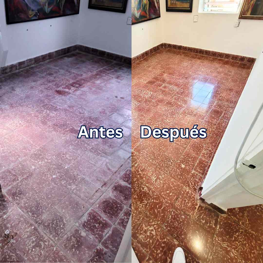 <Pulidora y Cristalizadora Hernández